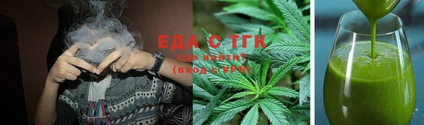 spice Дмитриев