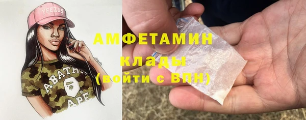 spice Дмитриев