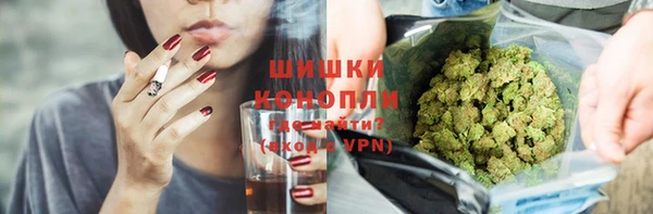 spice Дмитриев