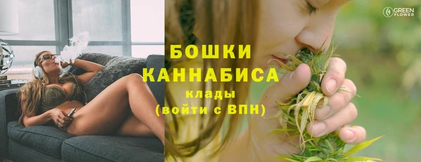 spice Дмитриев
