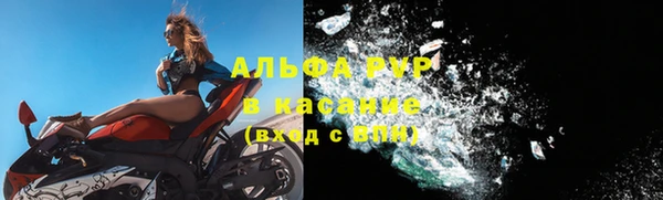 сатива Елизово