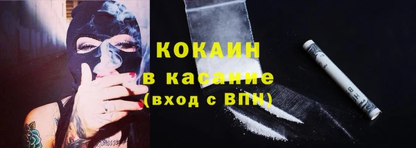 spice Дмитриев