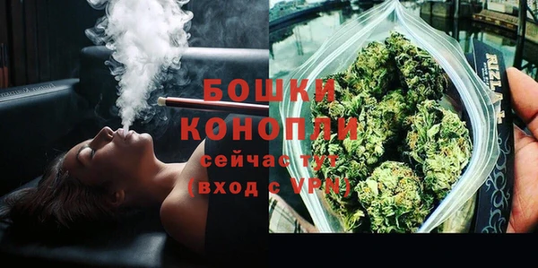 spice Дмитриев