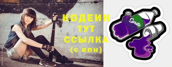 2c-b Гатчина