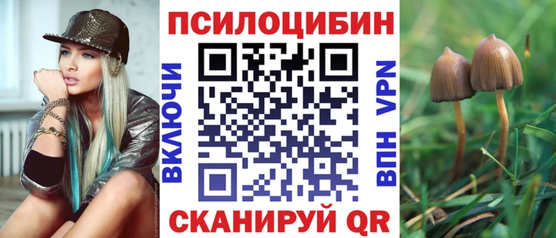 Галлюциногенные грибы Psilocybine cubensis  Заринск 