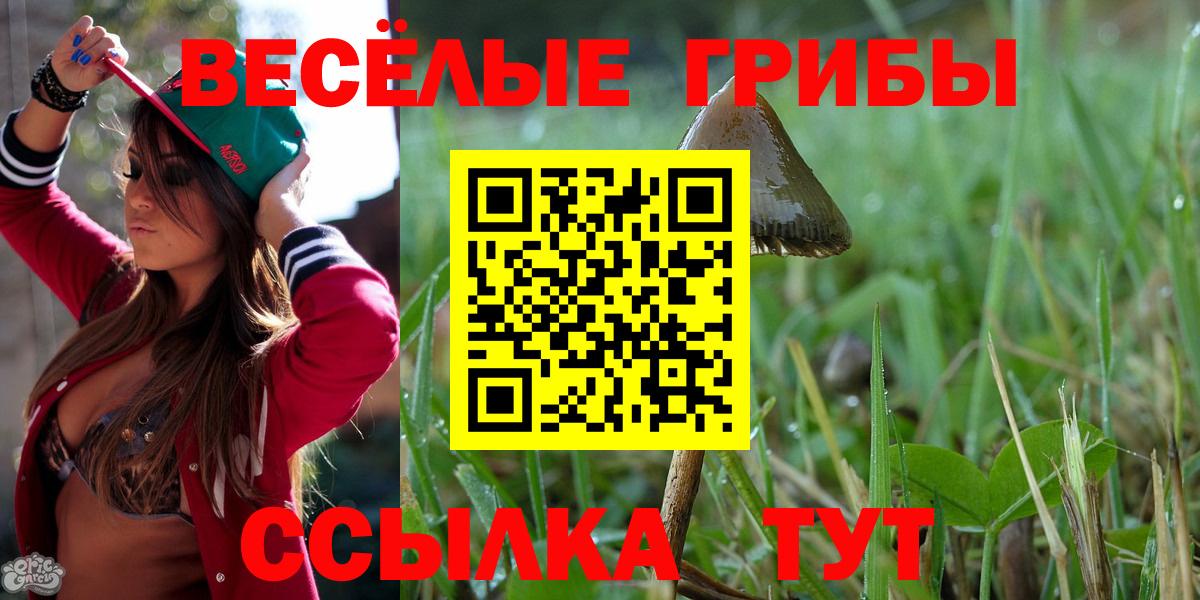 Псилоцибиновые грибы GOLDEN TEACHER  Вход с VPN  Заринск 