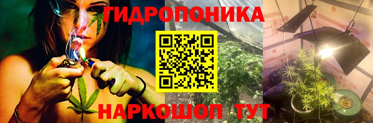 Шишки марихуана AK-47 Заринск